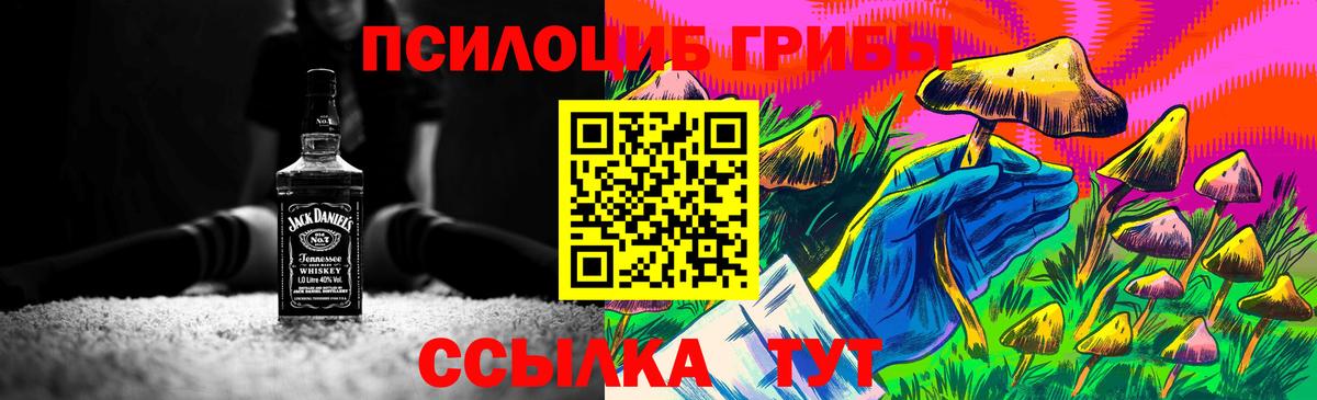 Псилоцибиновые грибы мухоморы Михайловка
