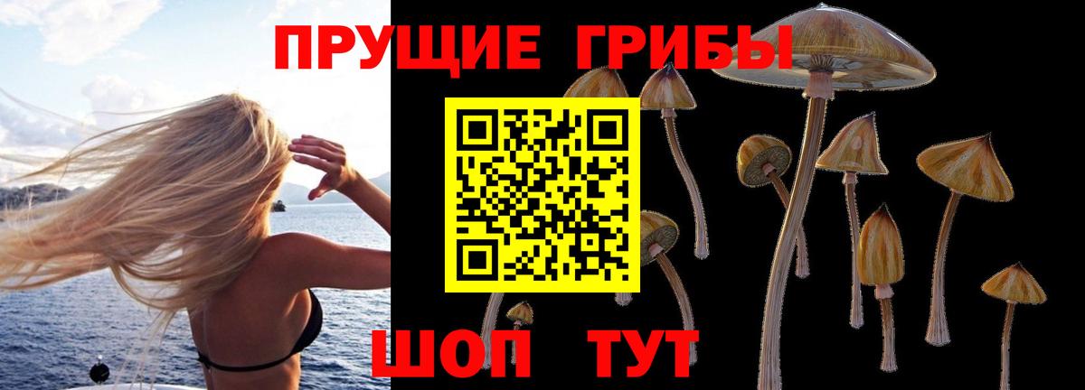 Галлюциногенные грибы MAGIC MUSHROOMS  купить закладку  Михайловка  Вход с VPN 